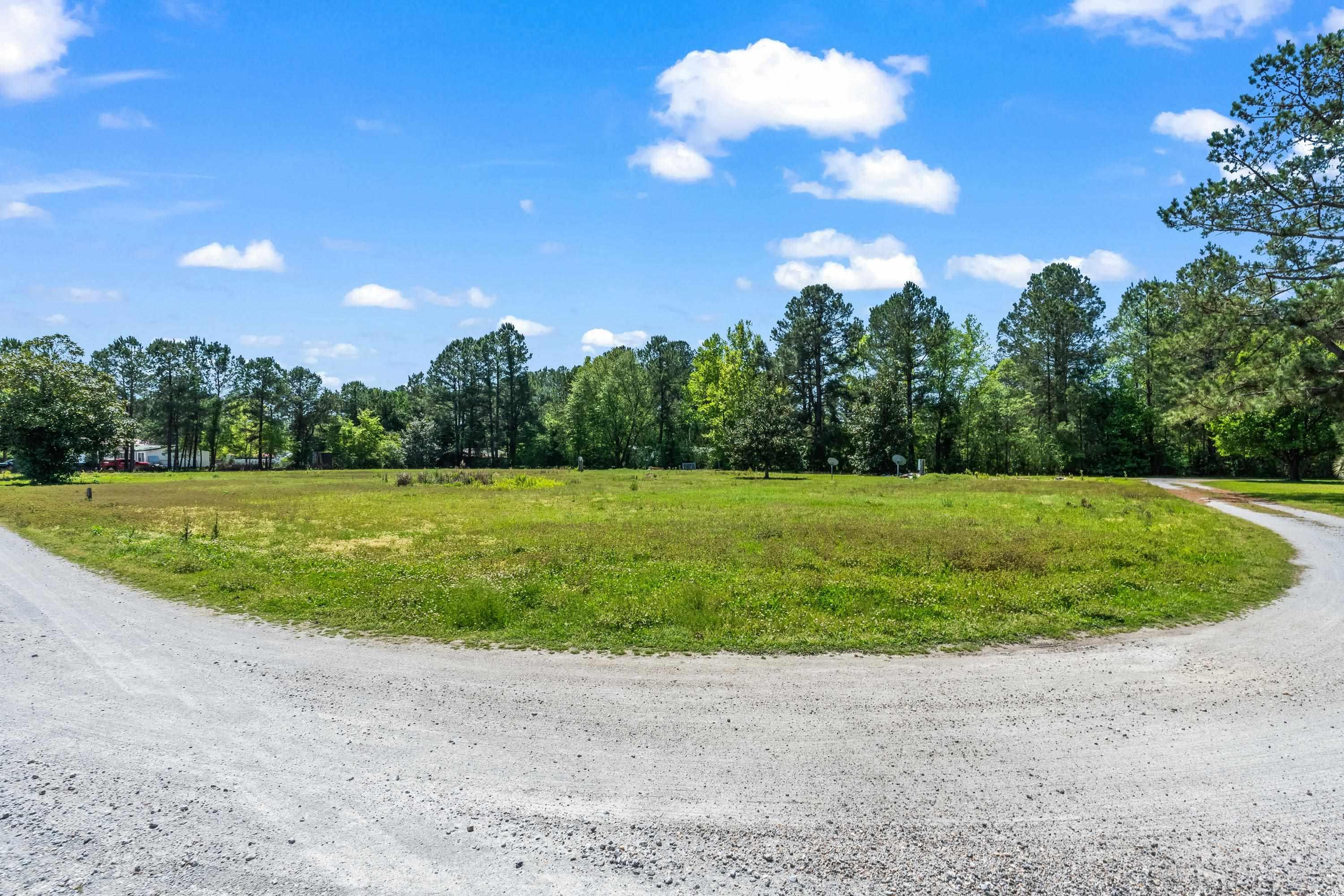 TBD Lot #3 Satellite Circle, Conway, South Carolina image 2