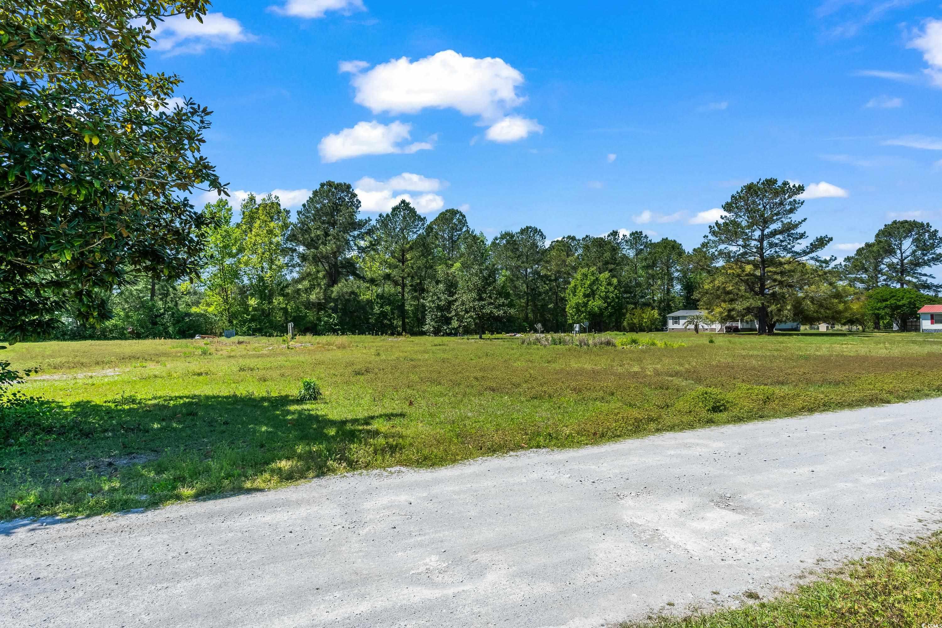 TBD Lot #3 Satellite Circle, Conway, South Carolina image 4