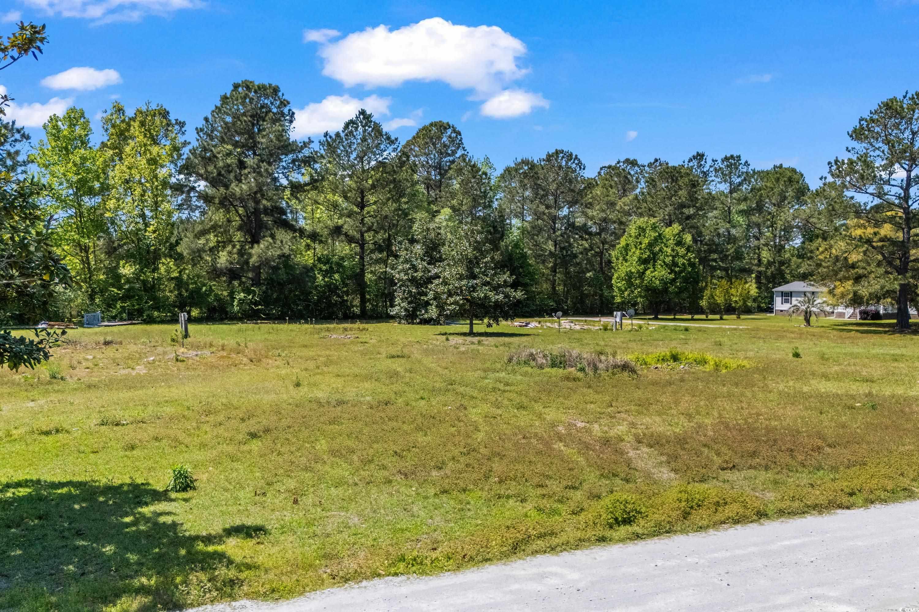 TBD Lot #3 Satellite Circle, Conway, South Carolina image 6
