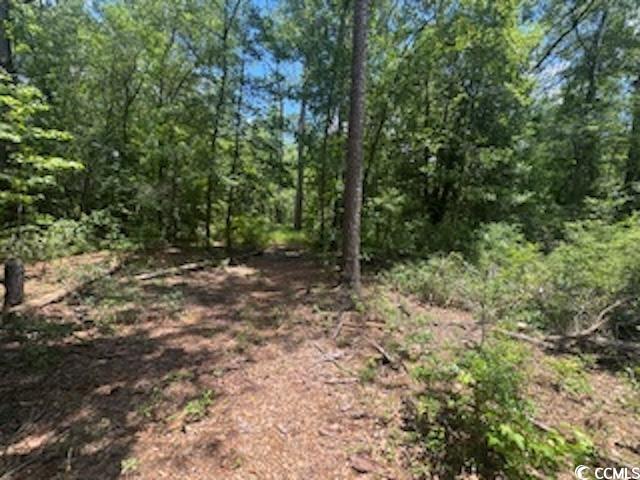 2840 Sheppard Ct., Mullins, South Carolina image 13