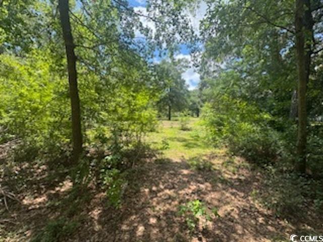 2840 Sheppard Ct., Mullins, South Carolina image 7