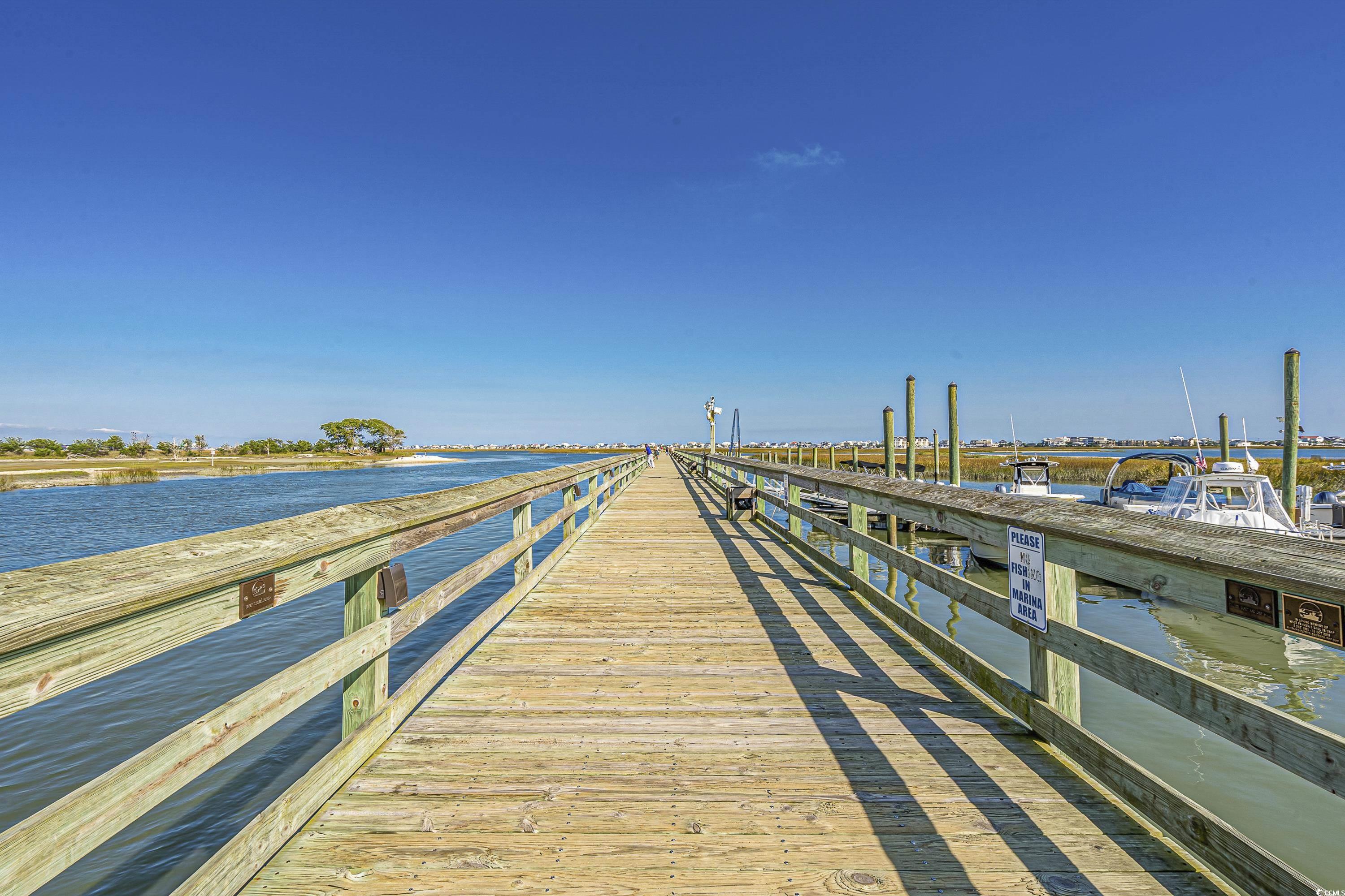 948 Jackline Place #201, Murrells Inlet, South Carolina image 38