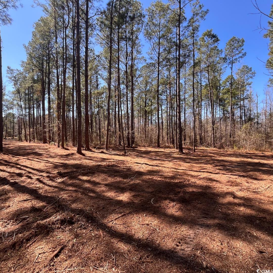 Goose Bay Rd. Loris, SC 29569