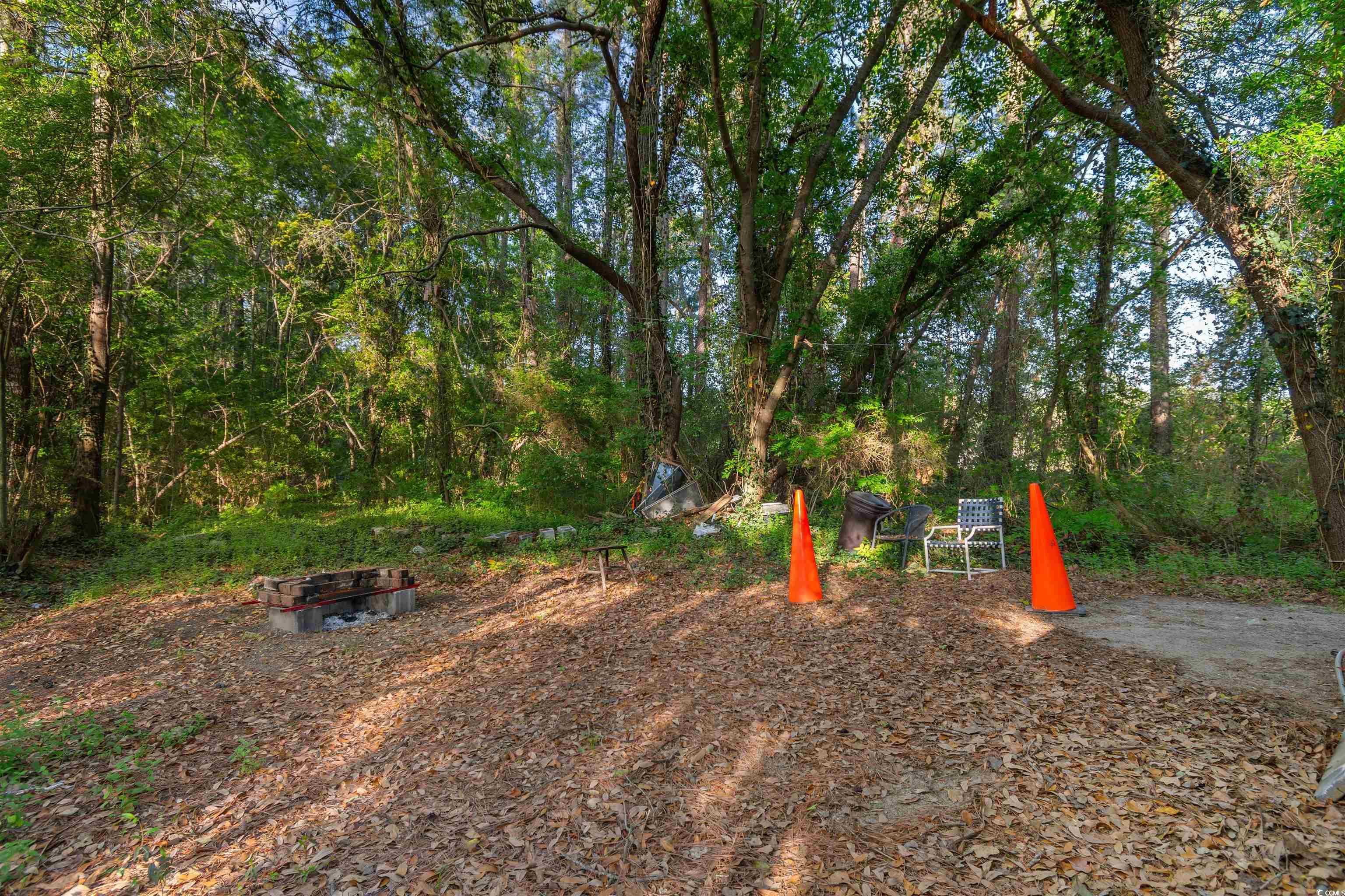 2519 S Highway 9, Loris, South Carolina image 25