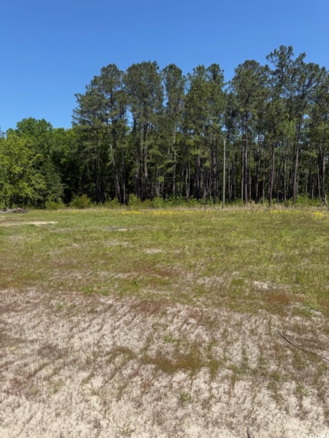 TBD Johnson Rd. Georgetown, SC 29440
