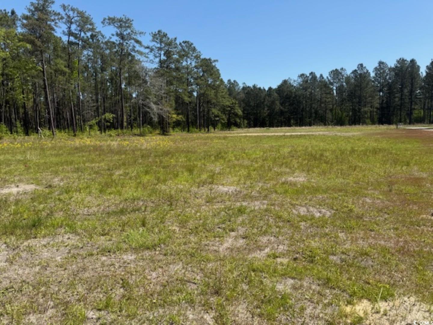 TBD Johnson Rd., Georgetown, South Carolina image 3