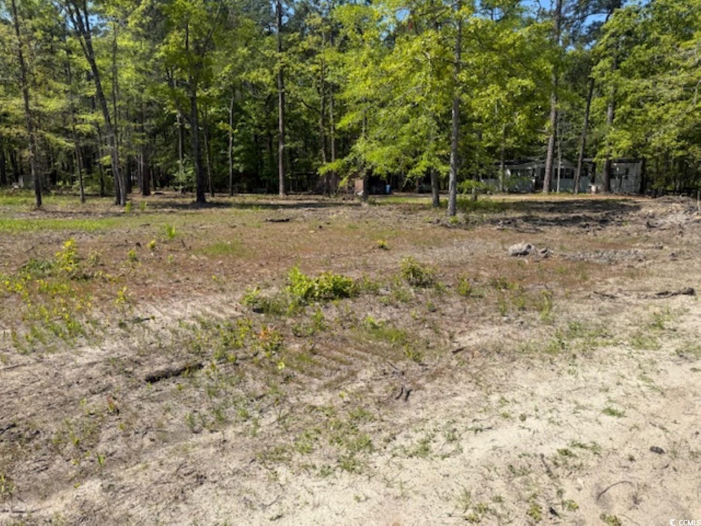TBD Johnson Rd. Georgetown, SC 29440