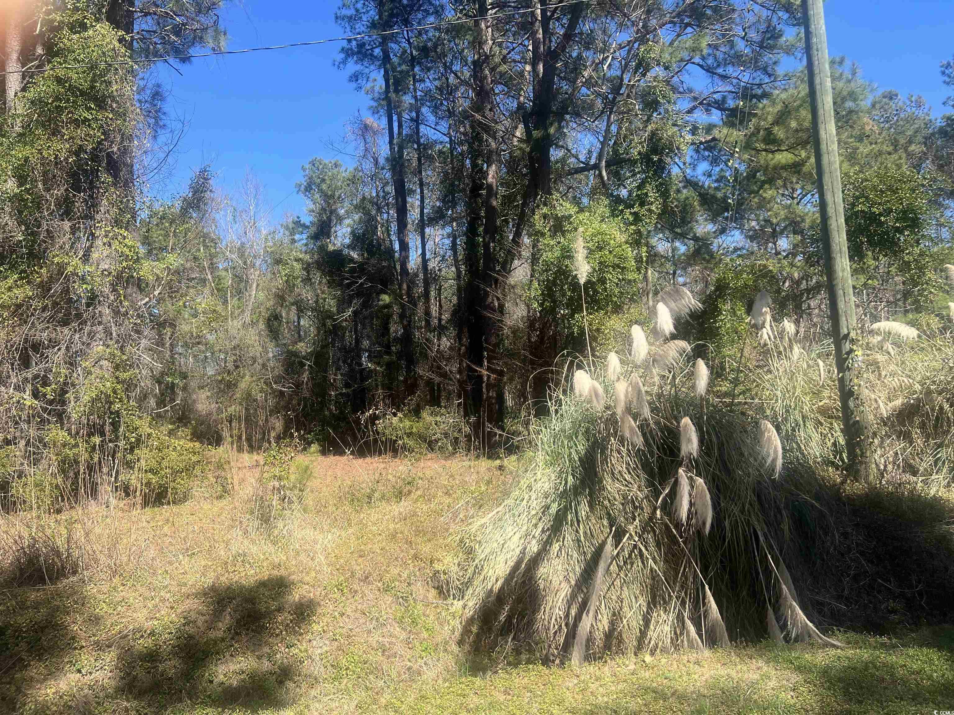 TBD Tillmond Dr., Conway, South Carolina image 1