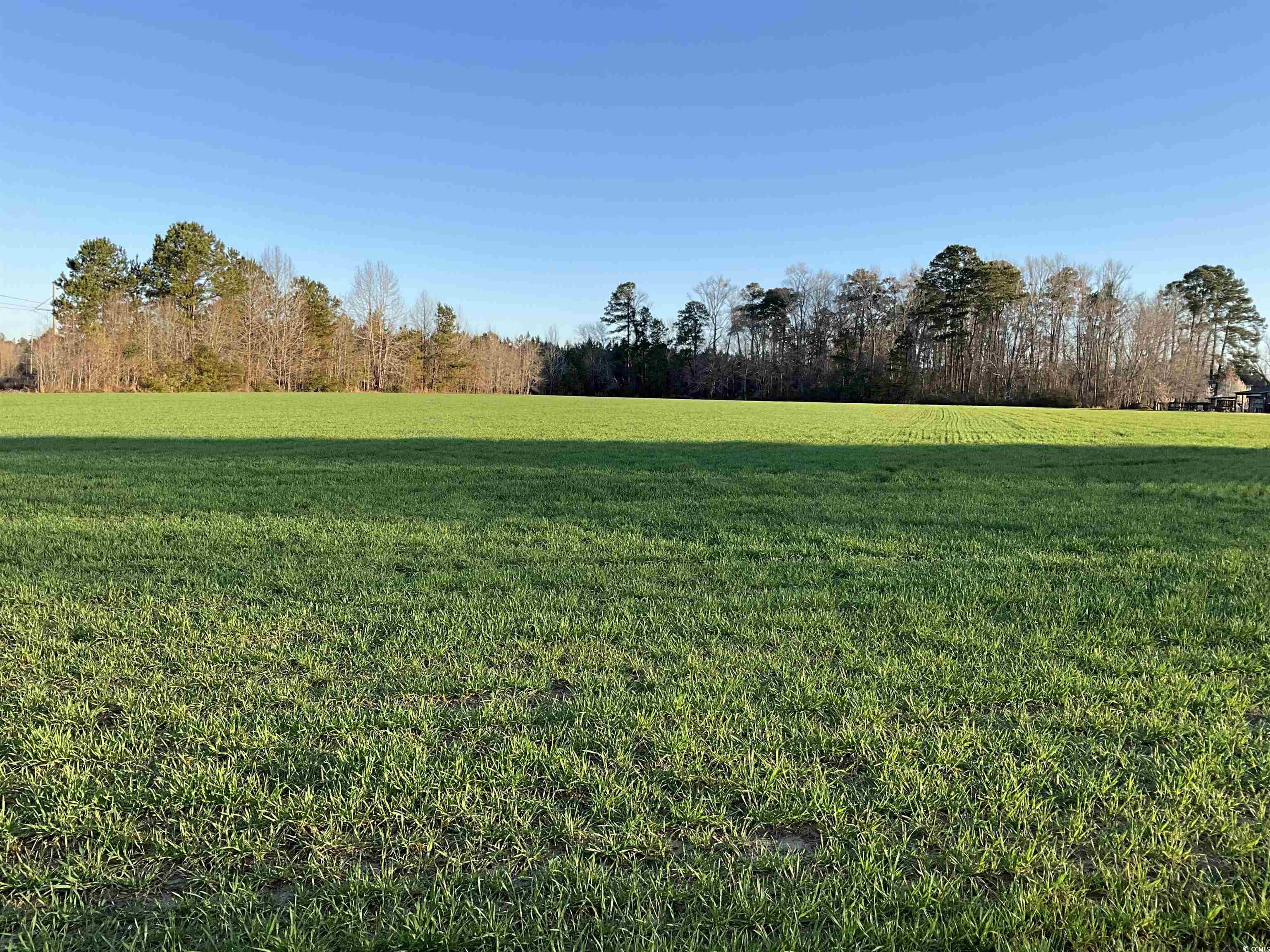 TBD Carroll Rd., Latta, South Carolina image 1