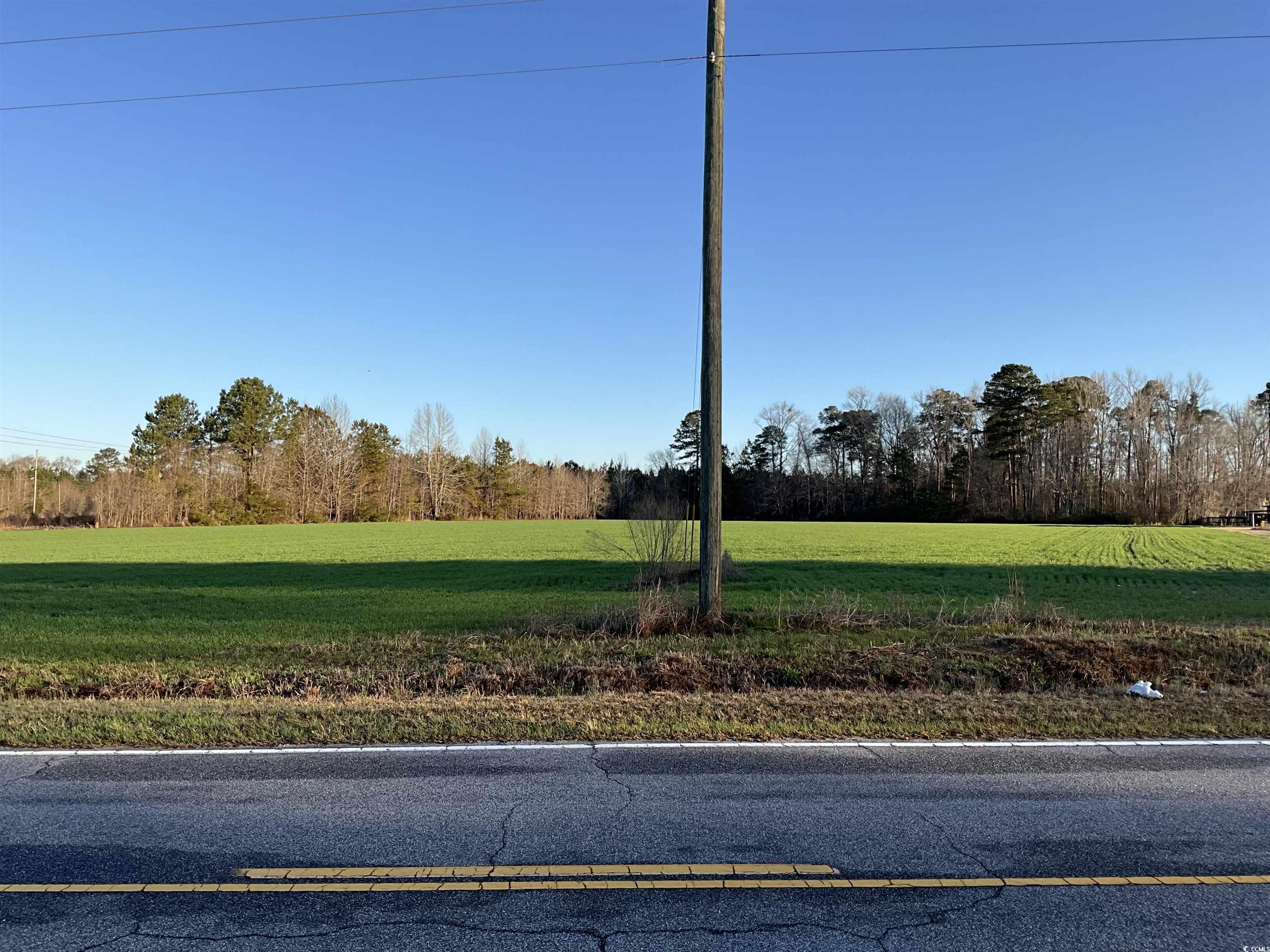 TBD Carroll Rd., Latta, South Carolina image 2