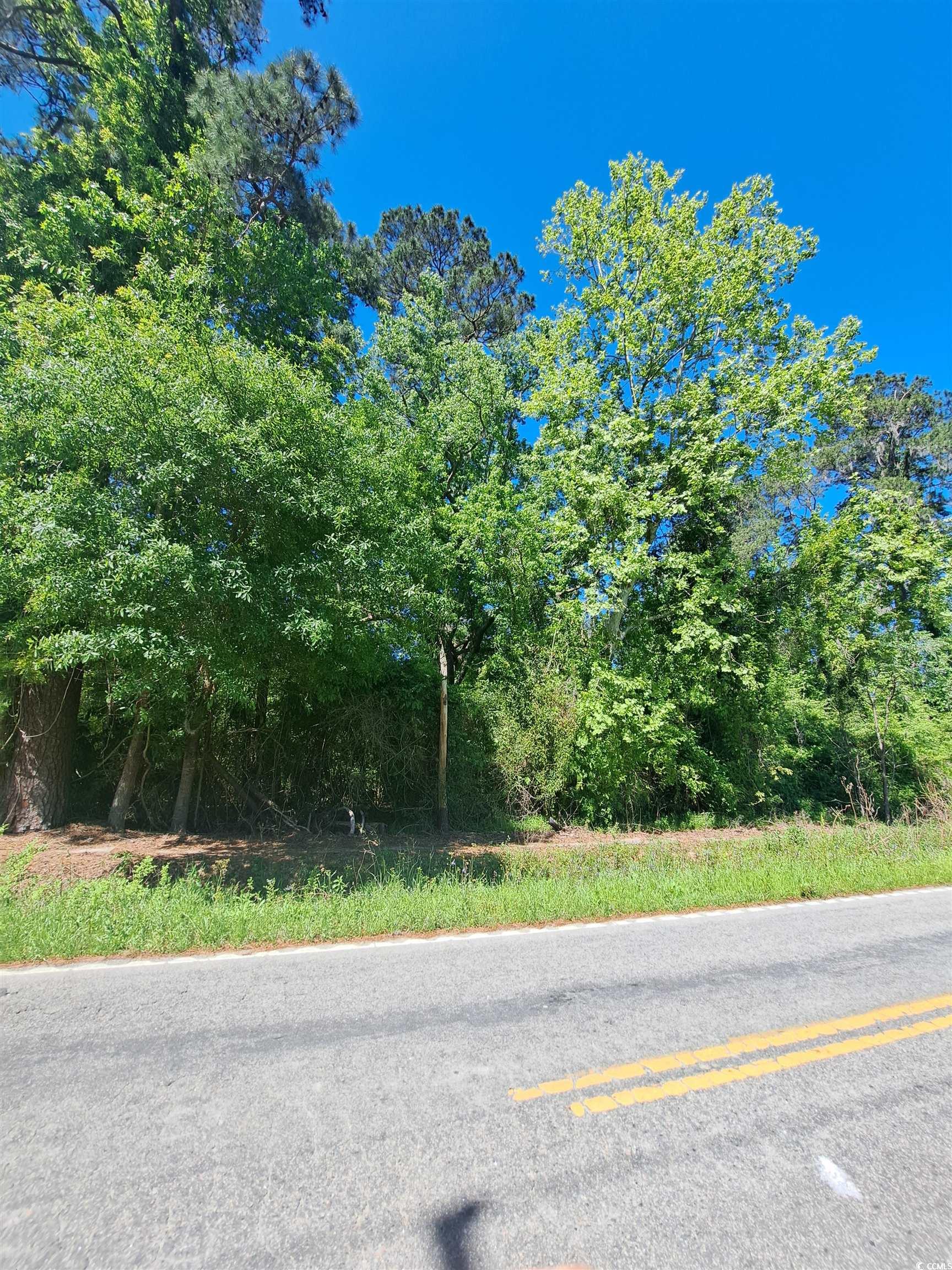 TBD Bucksport Rd., Conway, South Carolina image 1