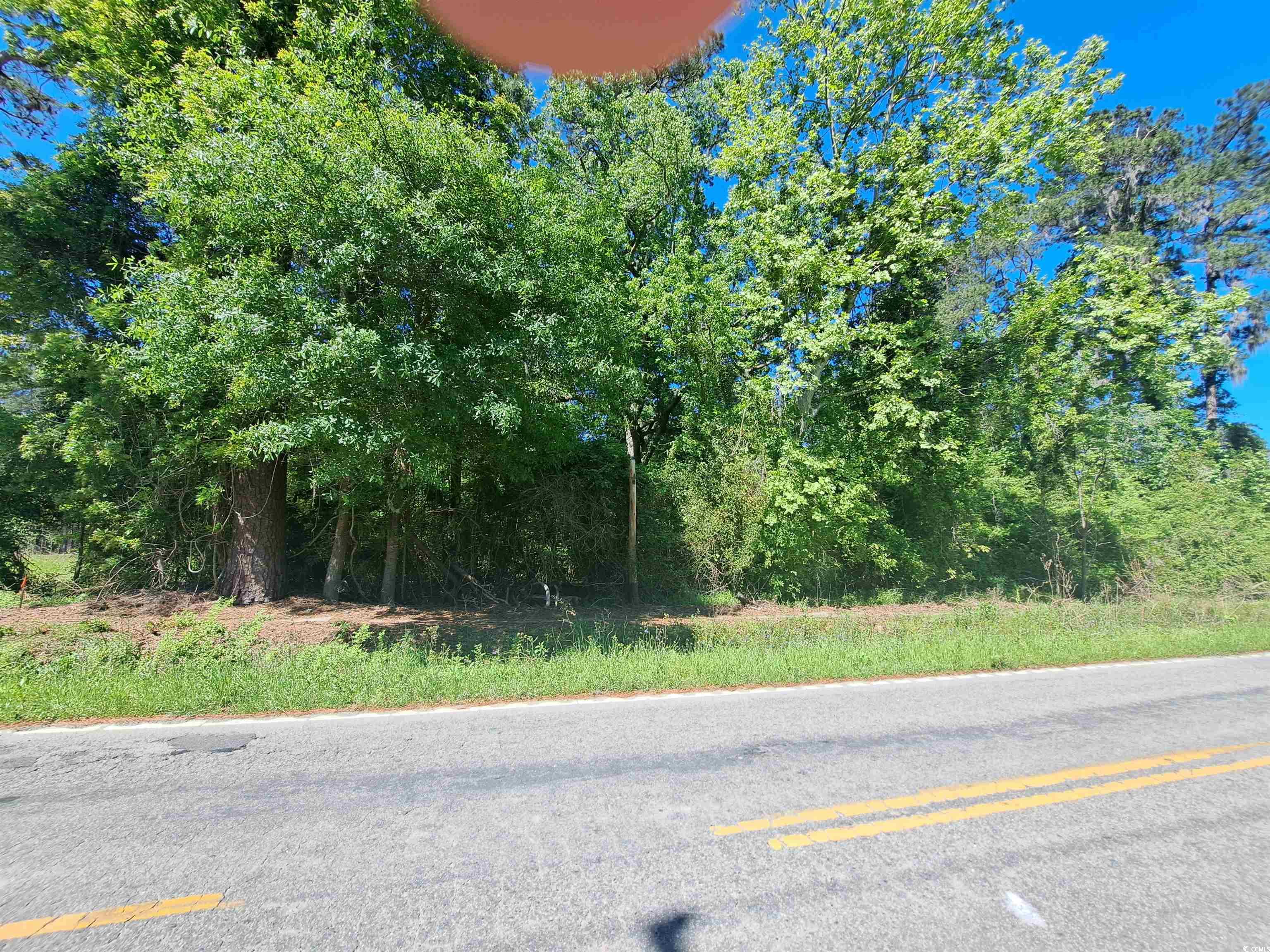 TBD Bucksport Rd., Conway, South Carolina image 4