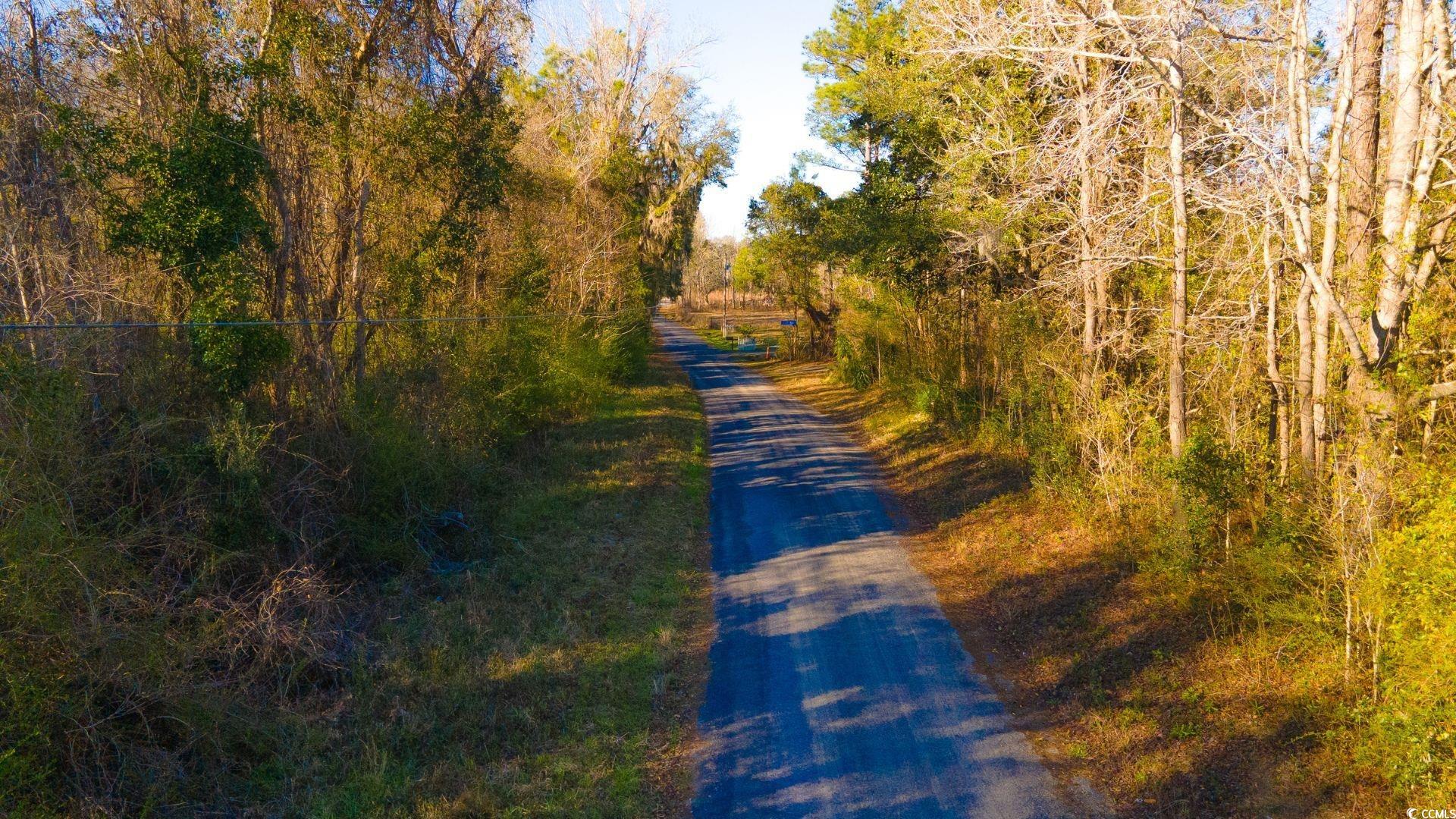 Corner Loop Rd., Georgetown, South Carolina image 2