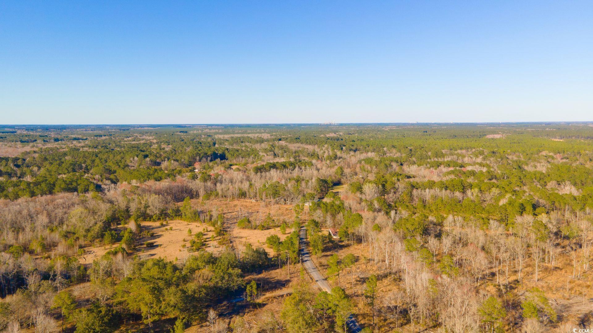 Corner Loop Rd., Georgetown, South Carolina image 3