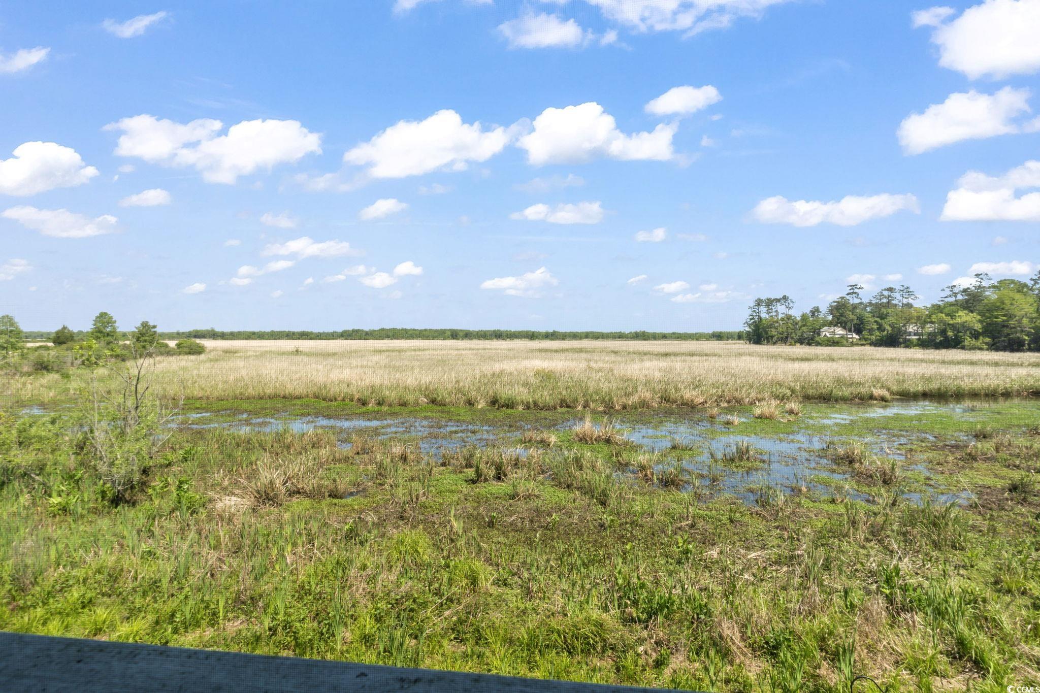 19 Red Skiff Ln. #15, Pawleys Island, South Carolina image 29