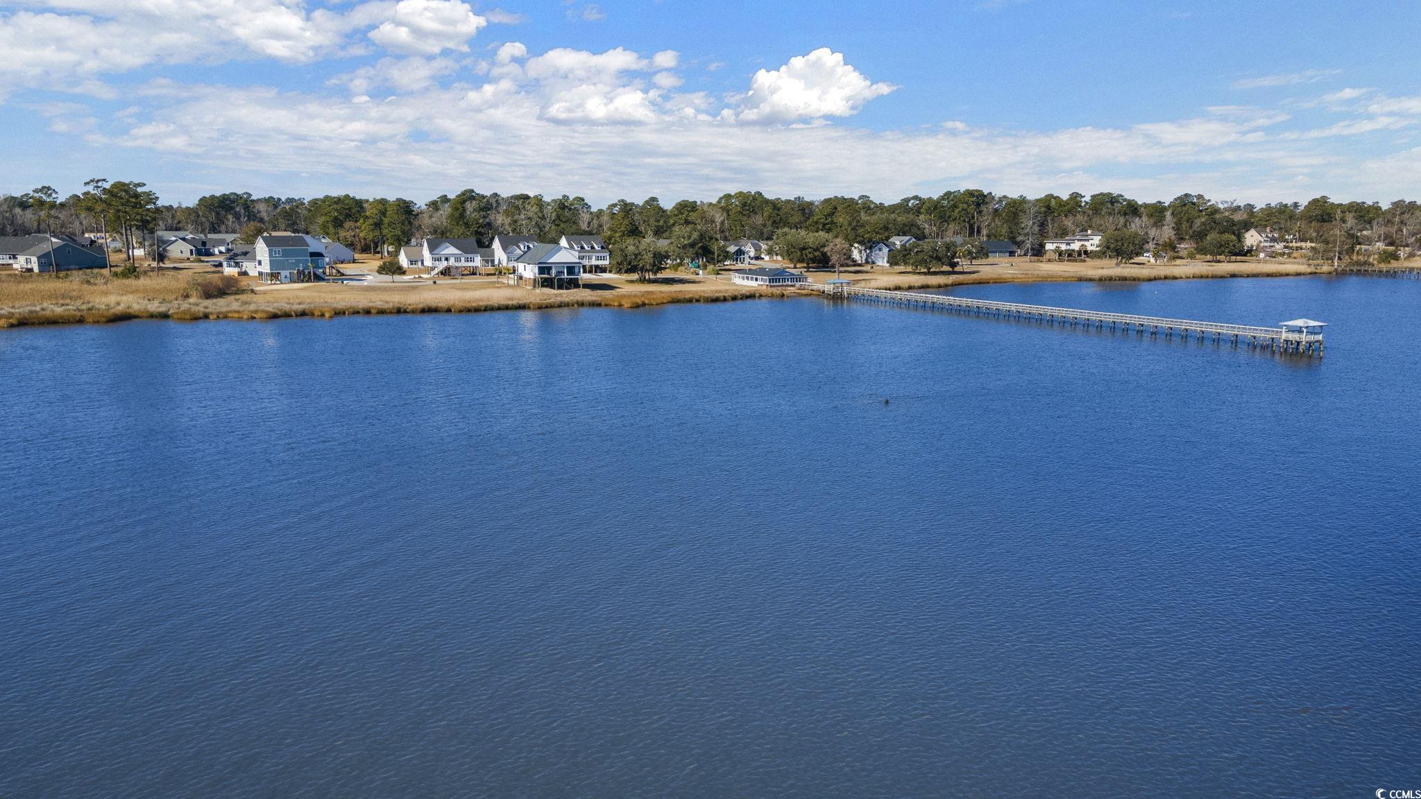 Lot 117 Seaport Circle, Georgetown, South Carolina image 11