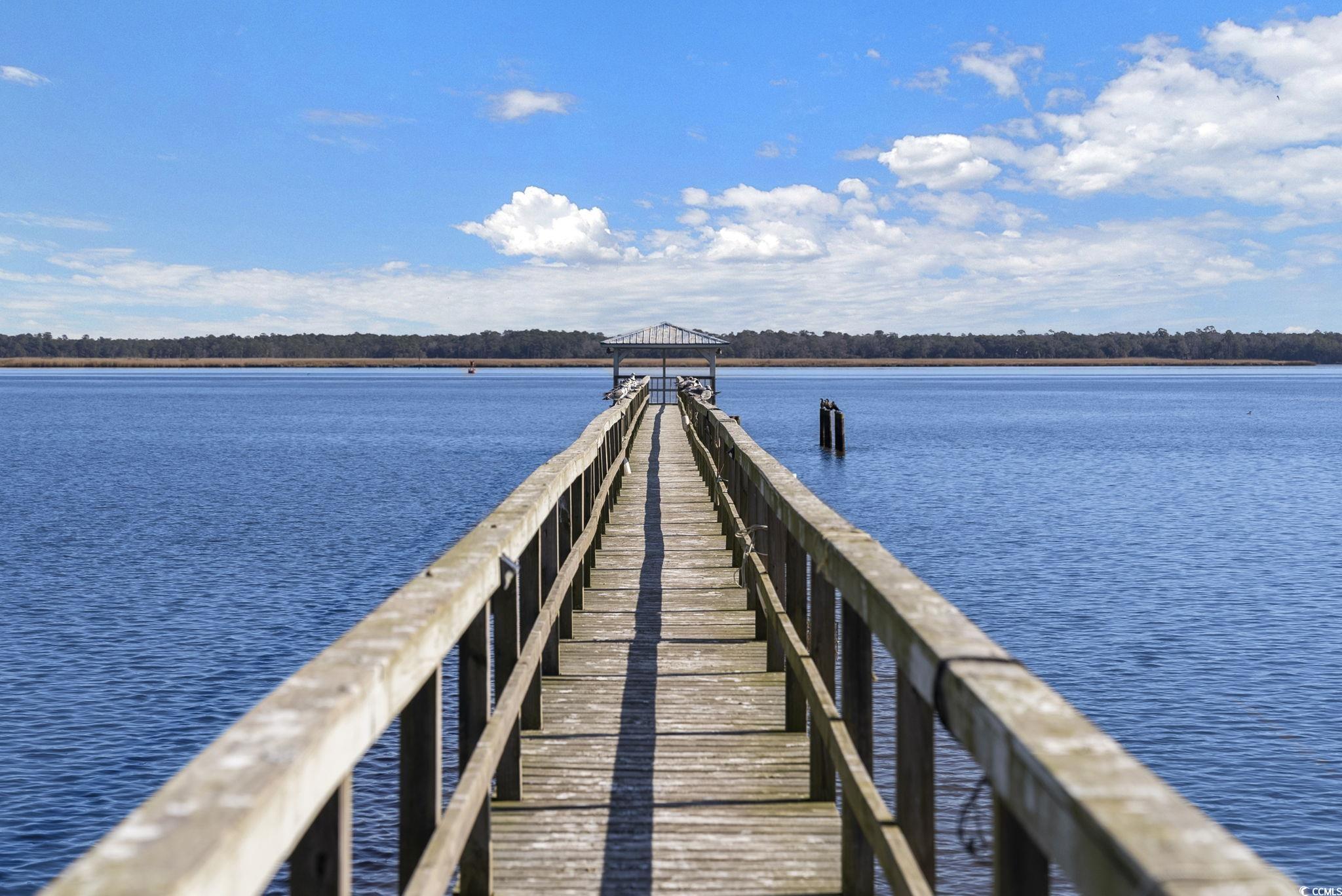 Lot 117 Seaport Circle, Georgetown, South Carolina image 17