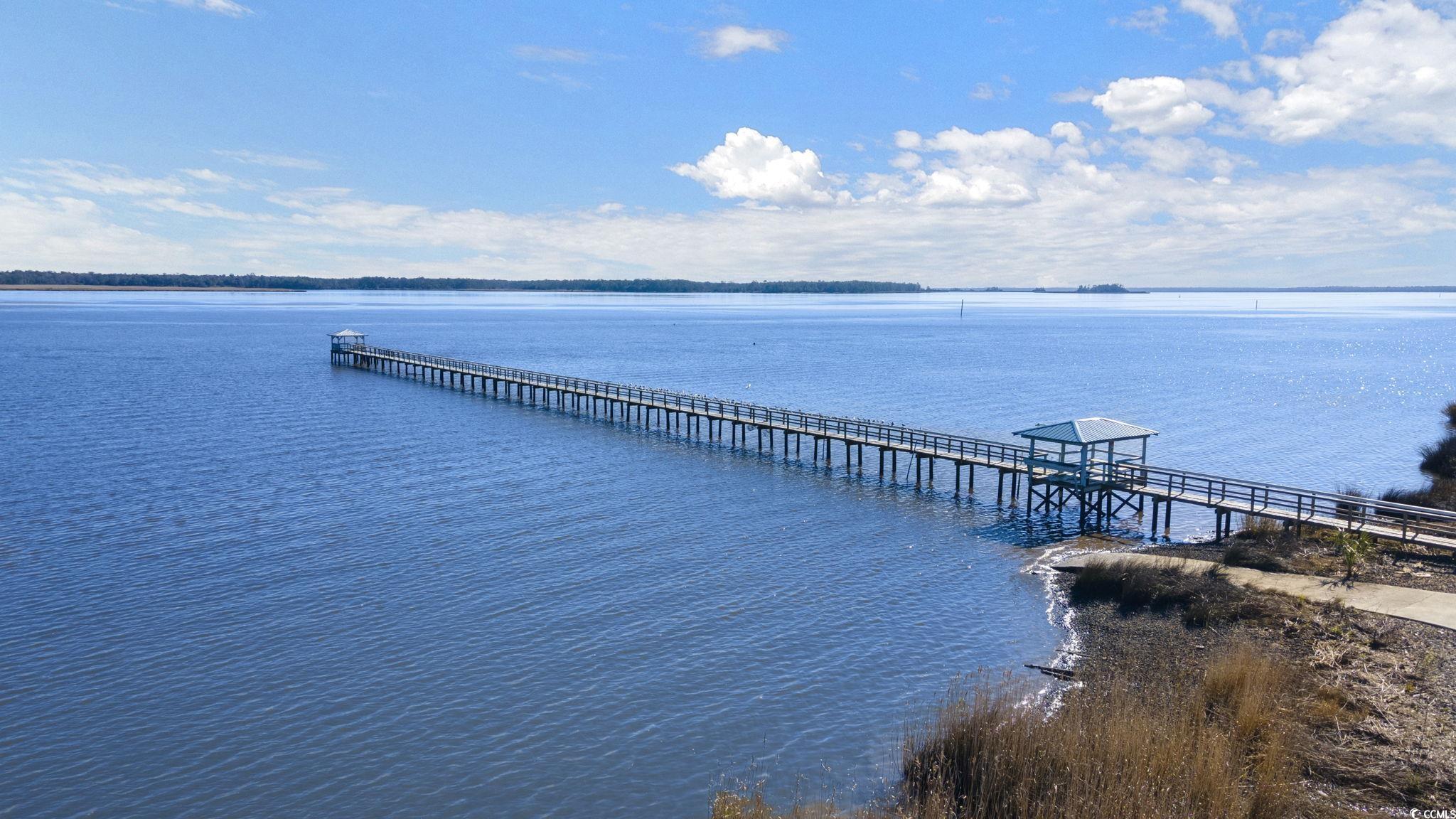 Lot 117 Seaport Circle, Georgetown, South Carolina image 22
