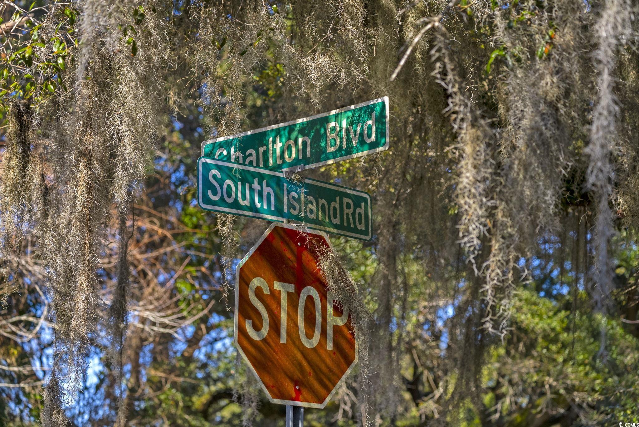 Lot 117 Seaport Circle, Georgetown, South Carolina image 24