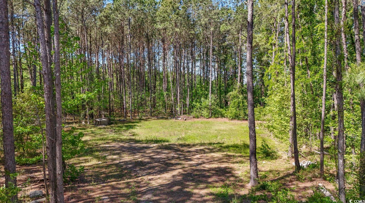 Kickapoo Dr., Green Sea, South Carolina image 1