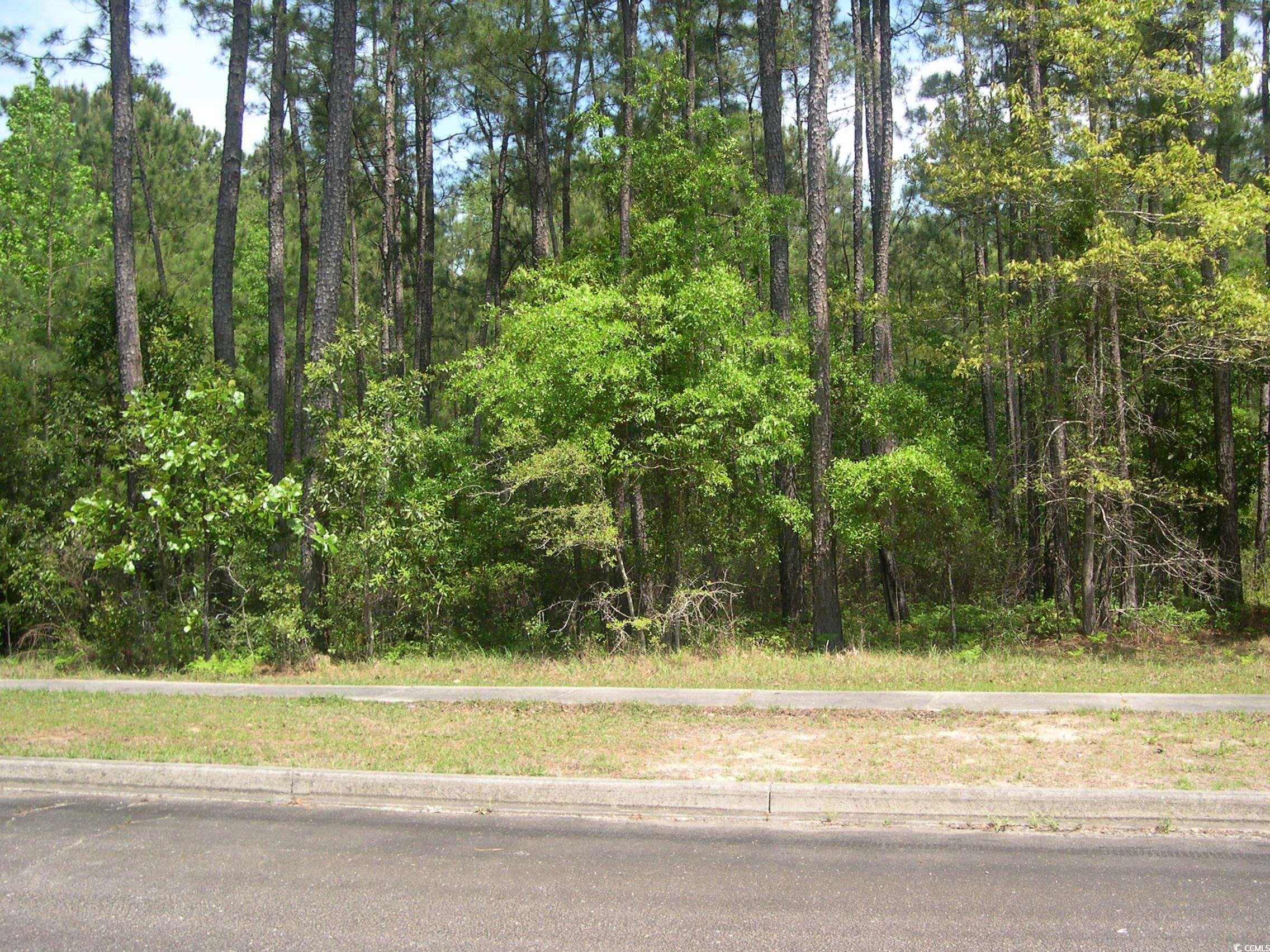 103 Pineberry Dr. 