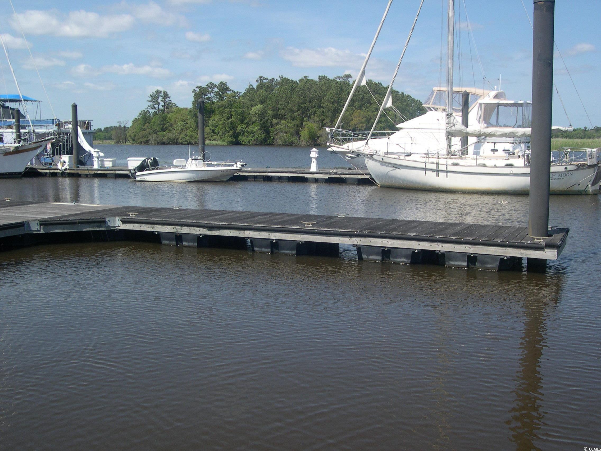 103 Pineberry Dr., Georgetown, South Carolina image 11
