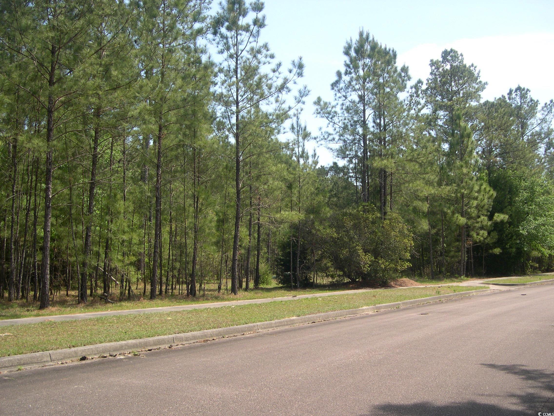 103 Pineberry Dr., Georgetown, South Carolina image 2
