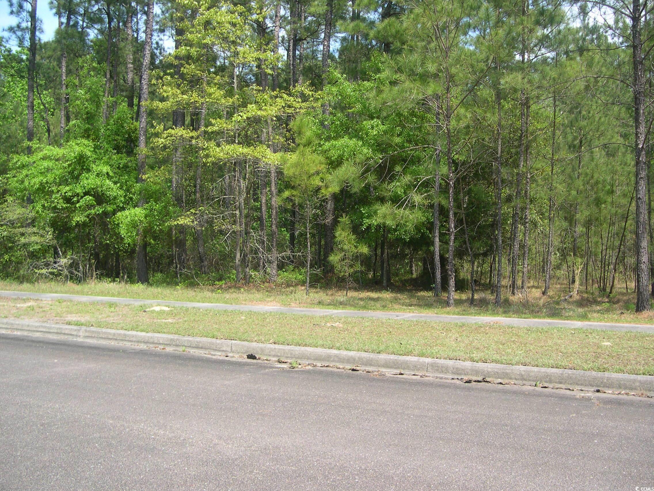 103 Pineberry Dr., Georgetown, South Carolina image 4