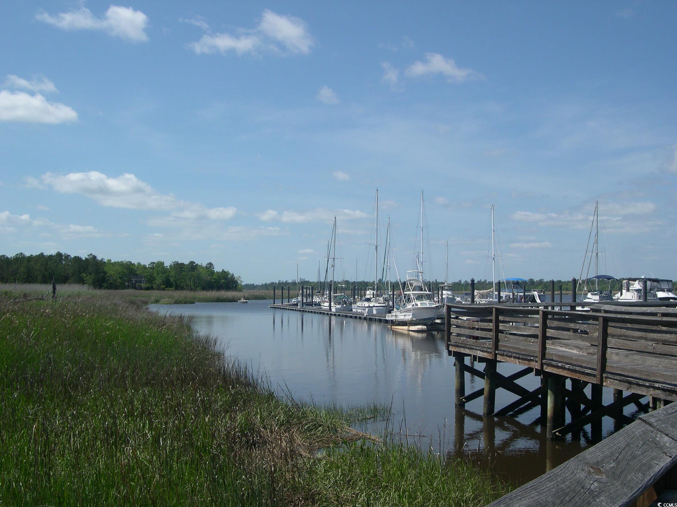 103 Pineberry Dr., Georgetown, South Carolina image 7