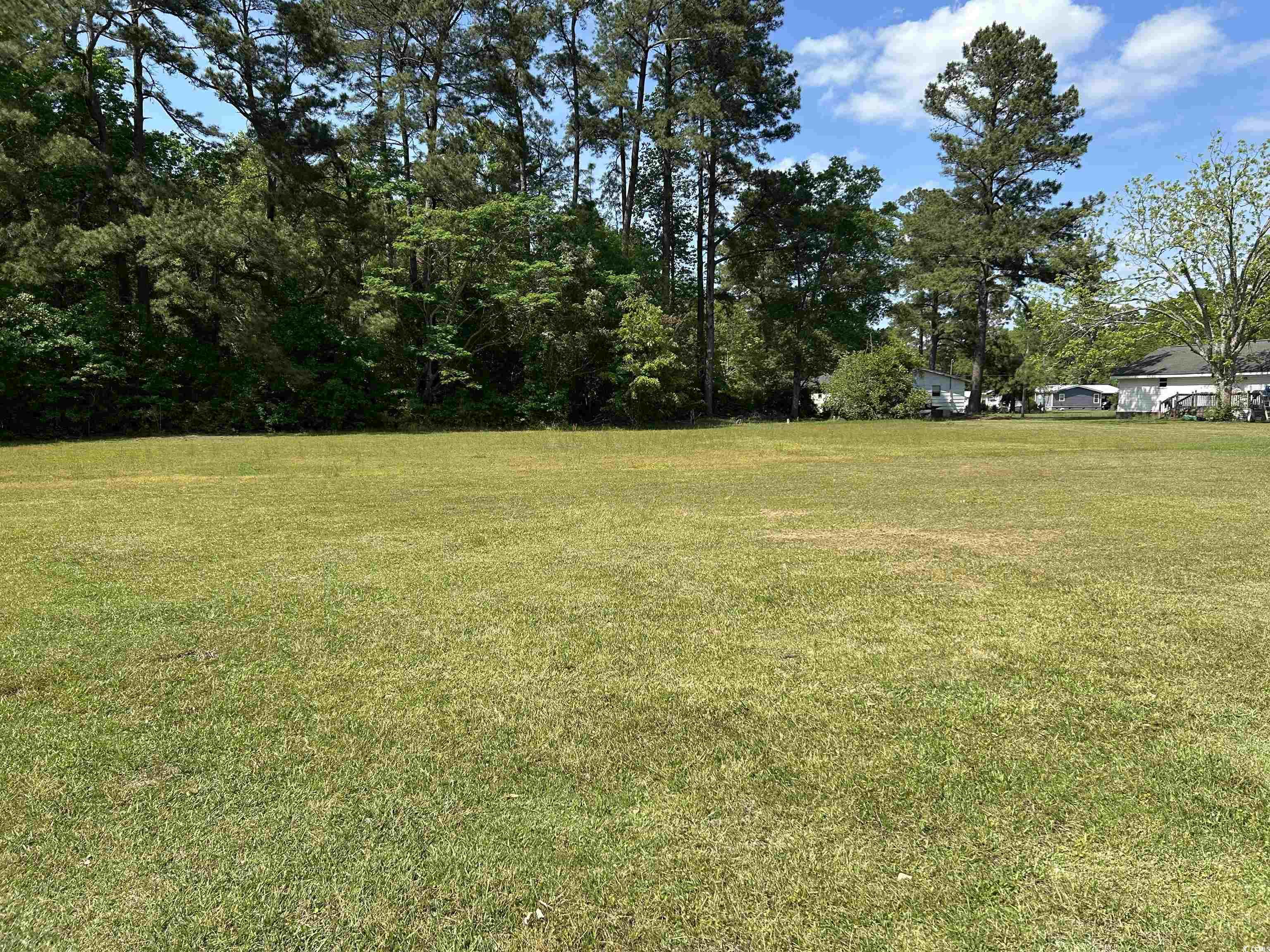 1009 Vox Hwy., Johnsonville, South Carolina image 4