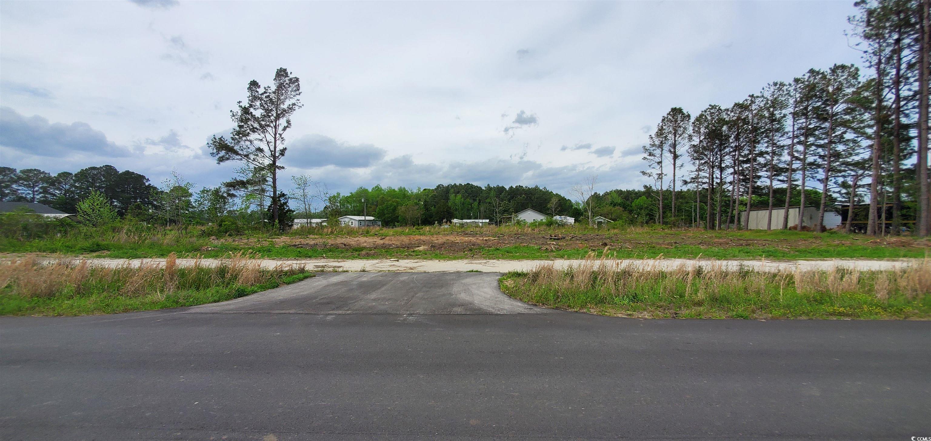 TBD G P Smith Ave., Longs, South Carolina image 9