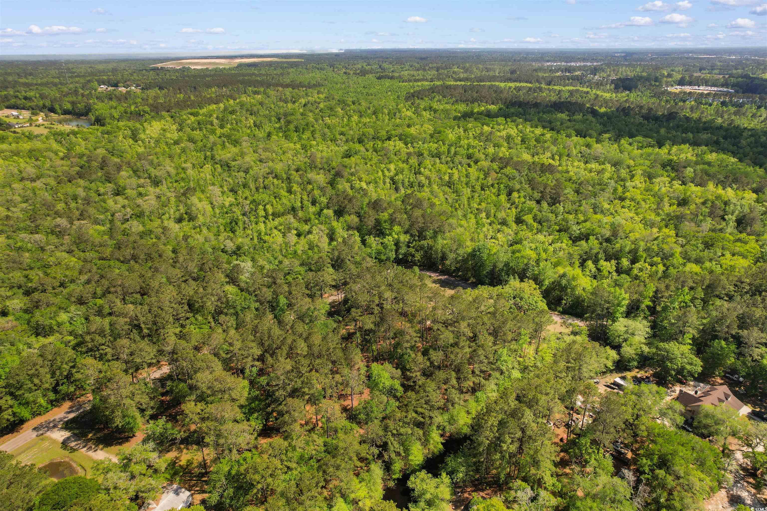 Lot 22-B Colton Circle, Conway, South Carolina image 14