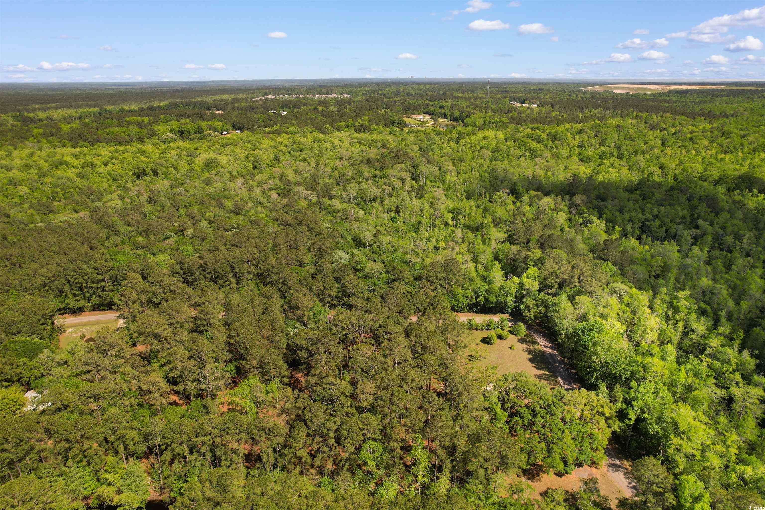 Lot 22-B Colton Circle, Conway, South Carolina image 15