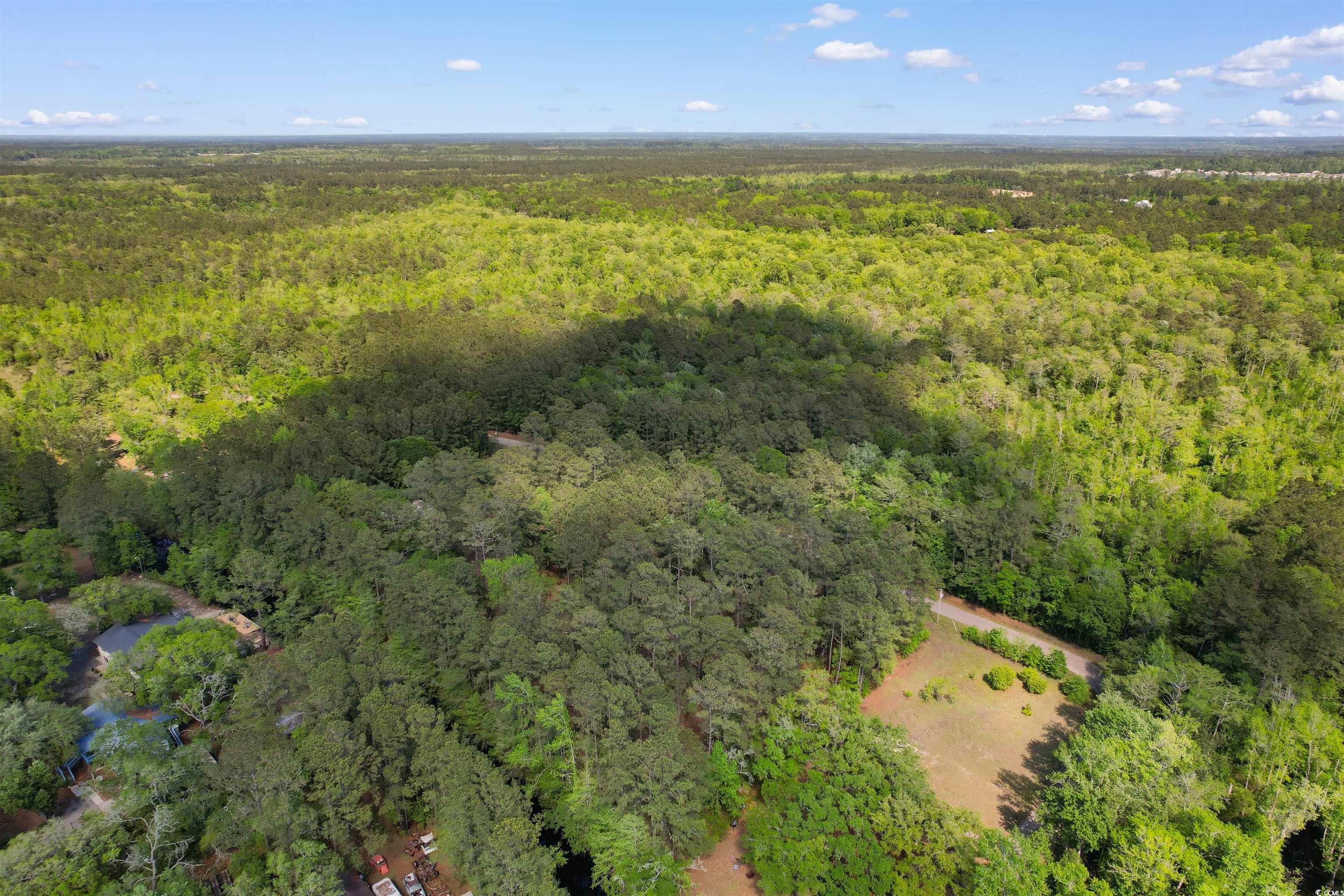 Lot 22-B Colton Circle, Conway, South Carolina image 16