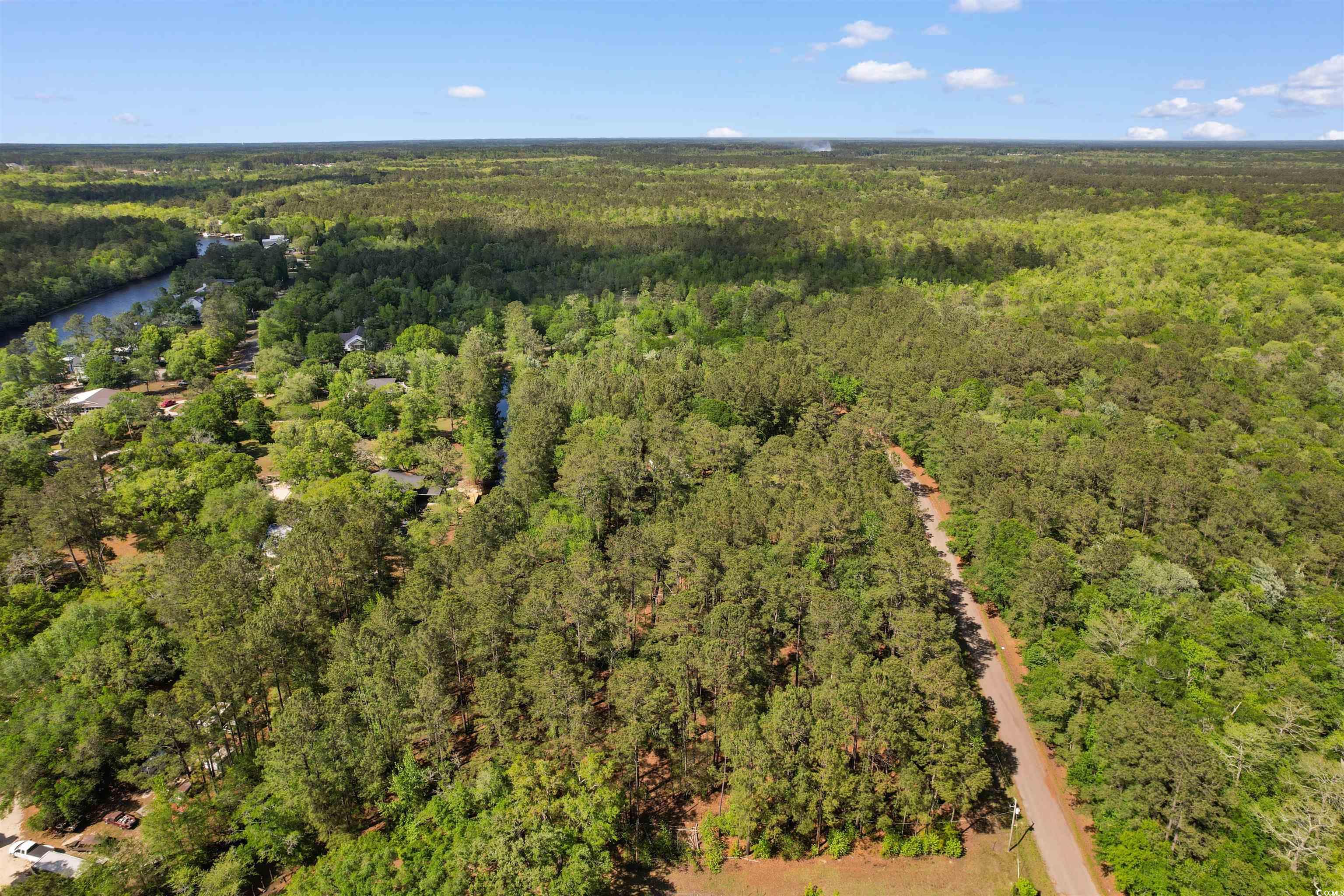 Lot 21-B Colton Circle, Conway, South Carolina image 17