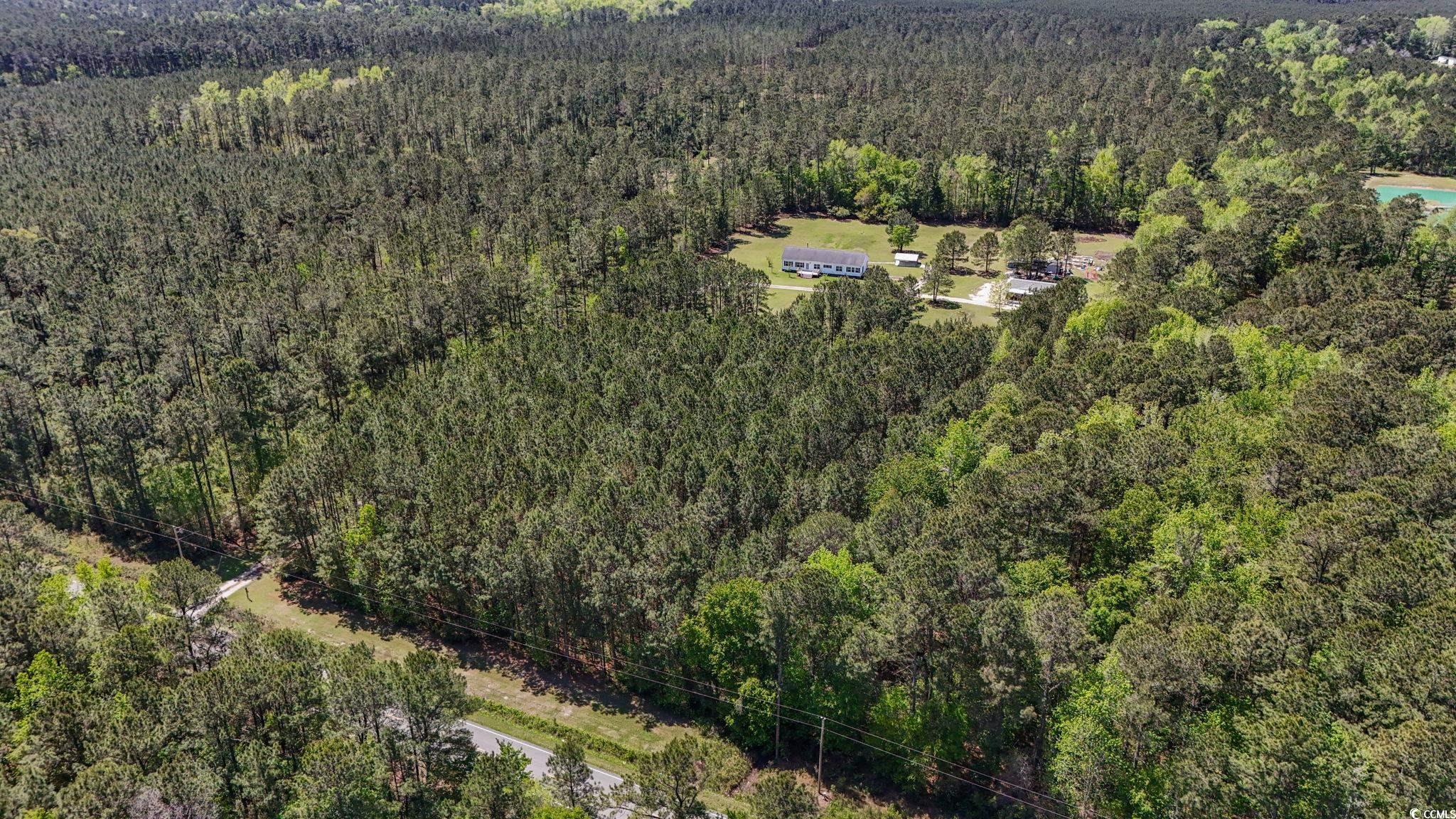 Lot 1 4630 Highway 554, Loris, South Carolina image 4