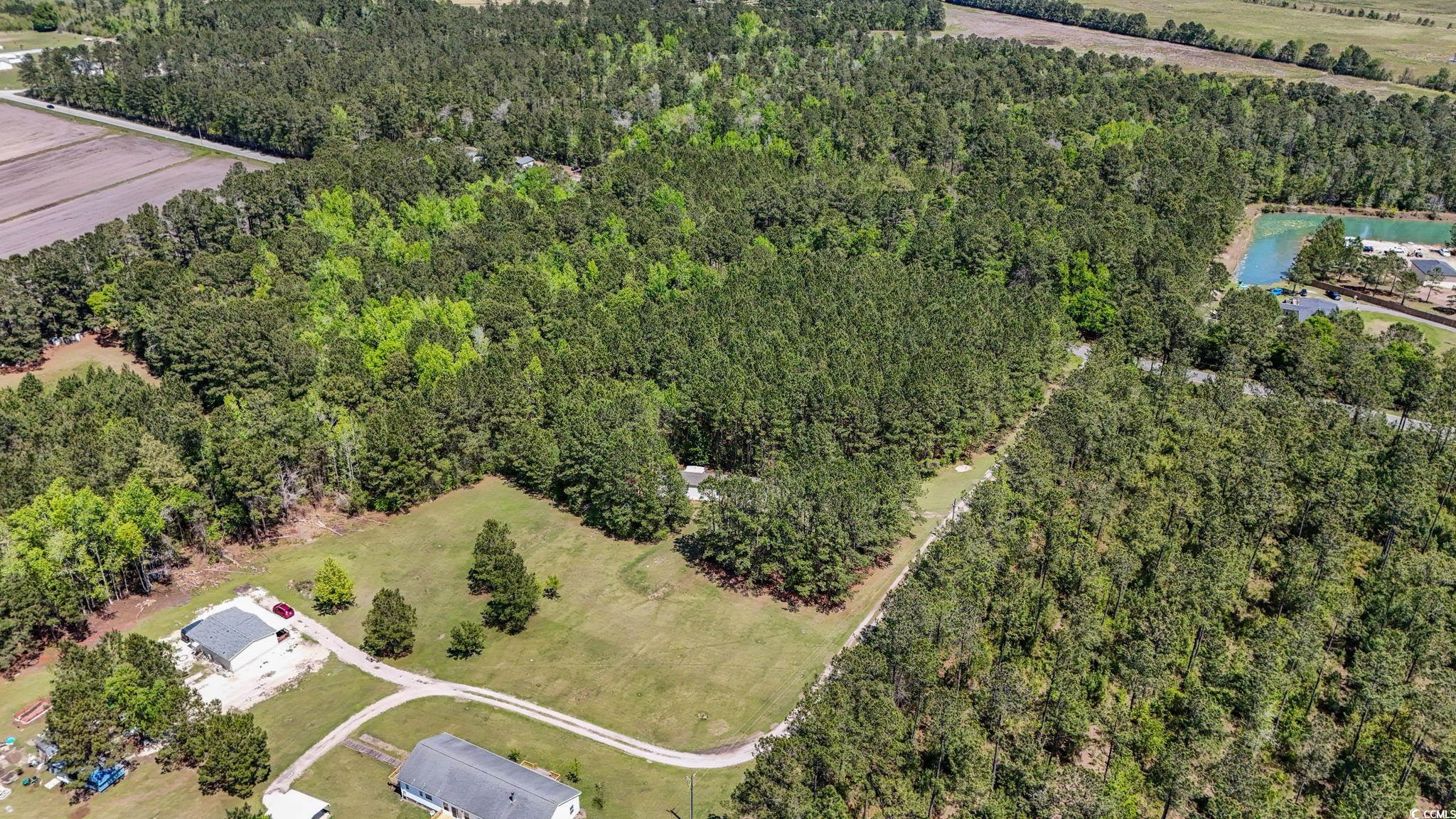 Lot 1 4630 Highway 554, Loris, South Carolina image 5