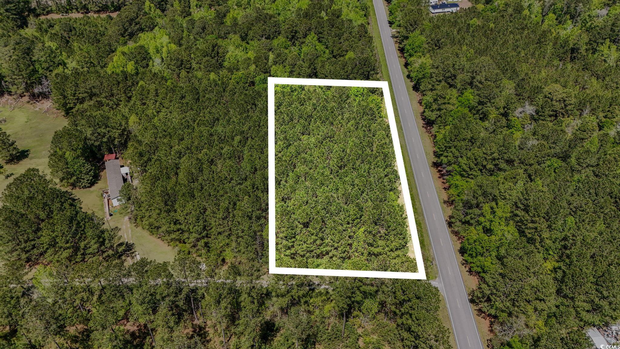 Lot 2 4630 Highway 554, Loris, South Carolina image 10