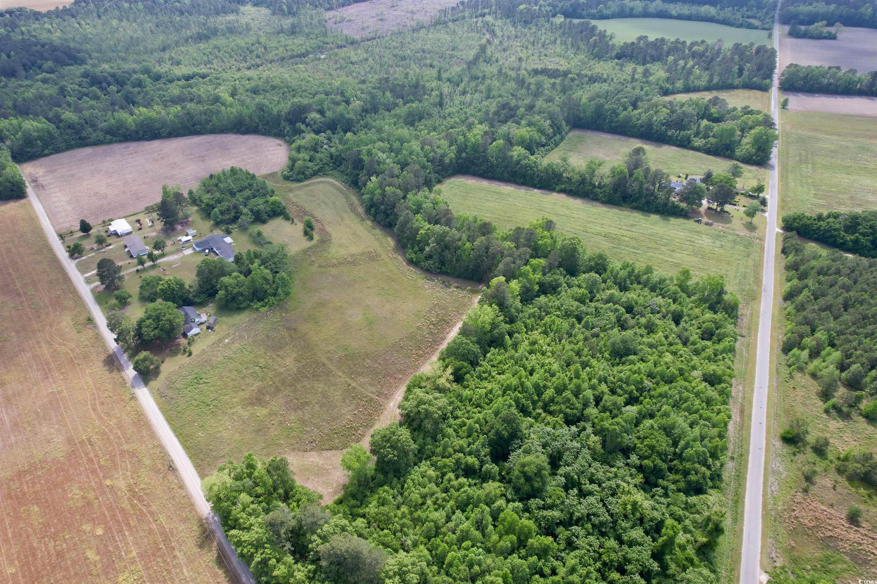 16.42 Acres-TBD Mary Rd., Salters, South Carolina image 10