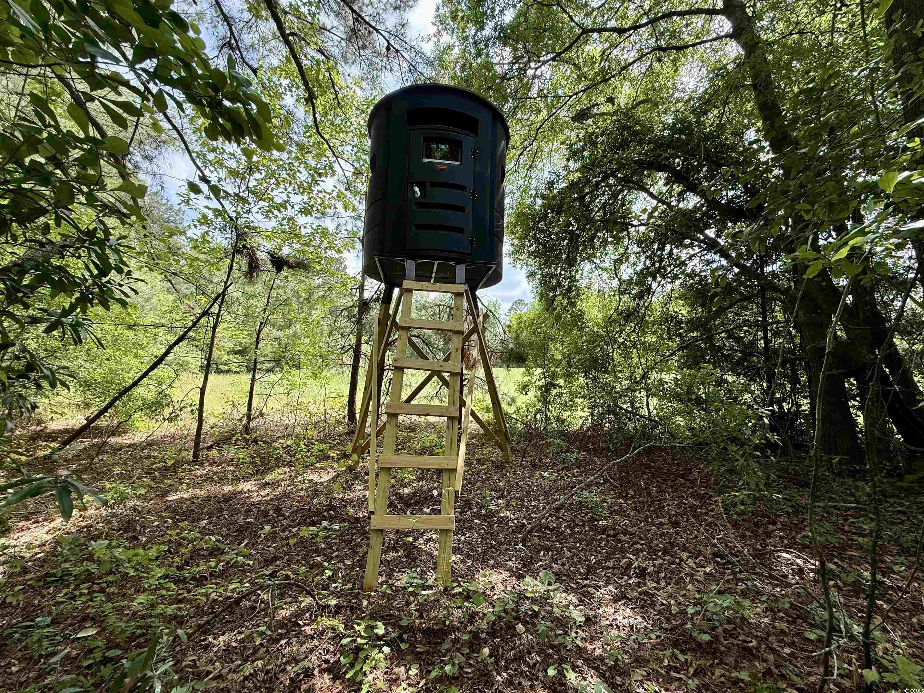 16.42 Acres-TBD Mary Rd., Salters, South Carolina image 12