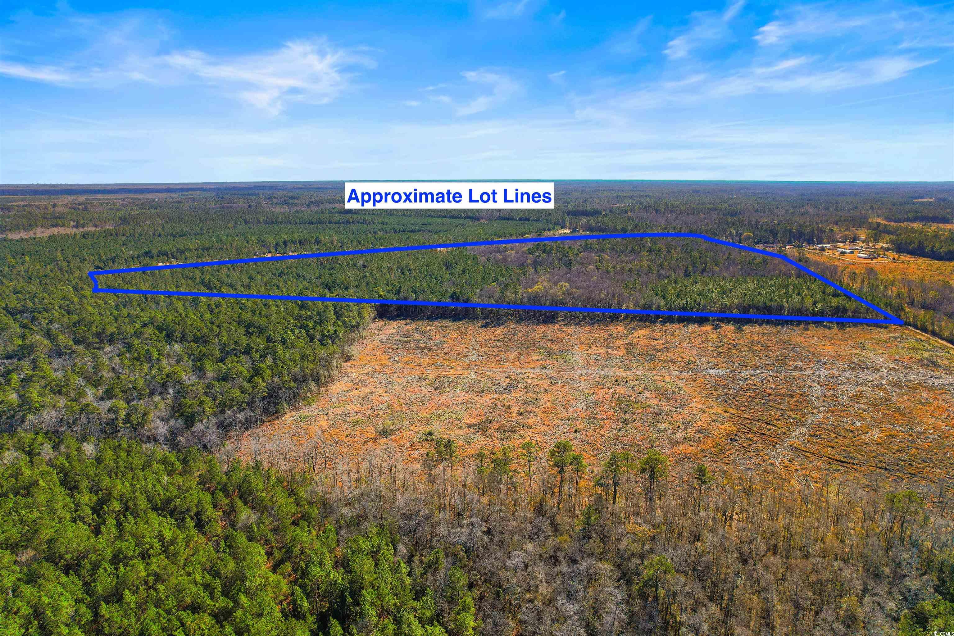 5.73 Acs Kates Bay Hwy., Conway, South Carolina image 16