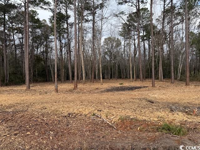 5.73 Acs Kates Bay Hwy., Conway, South Carolina image 3