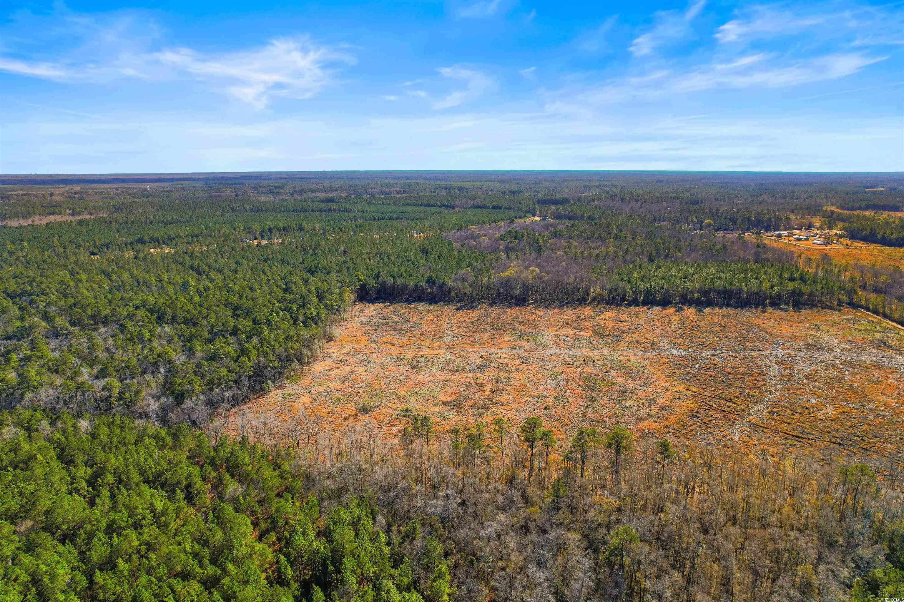 7.39 Acs Kates Bay Hwy., Conway, South Carolina image 15