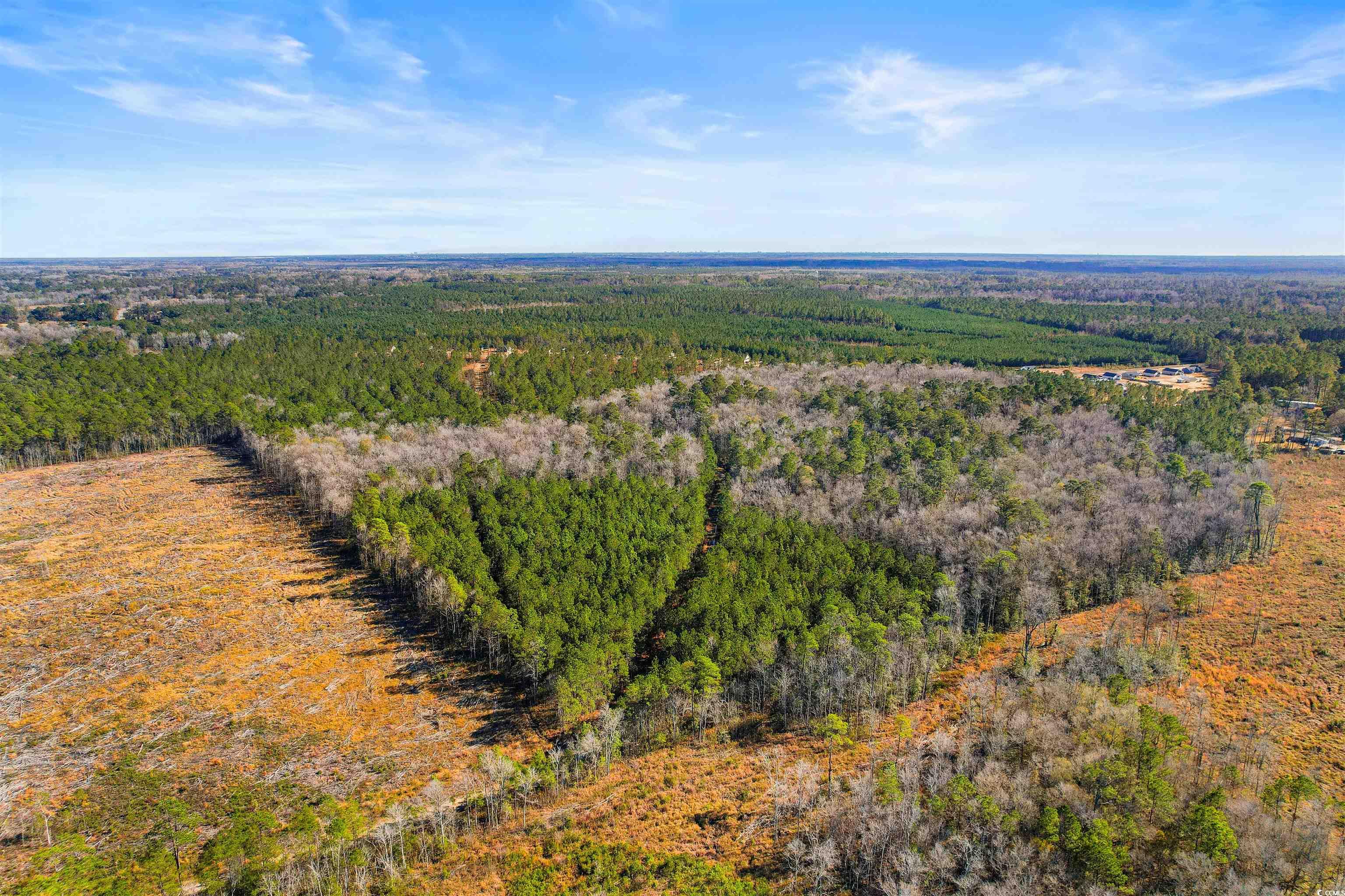 7.39 Acs Kates Bay Hwy., Conway, South Carolina image 17
