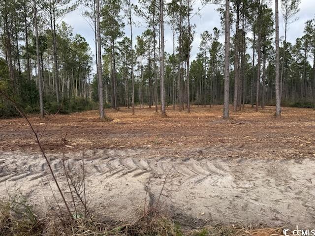 7.39 Acs Kates Bay Hwy., Conway, South Carolina image 2
