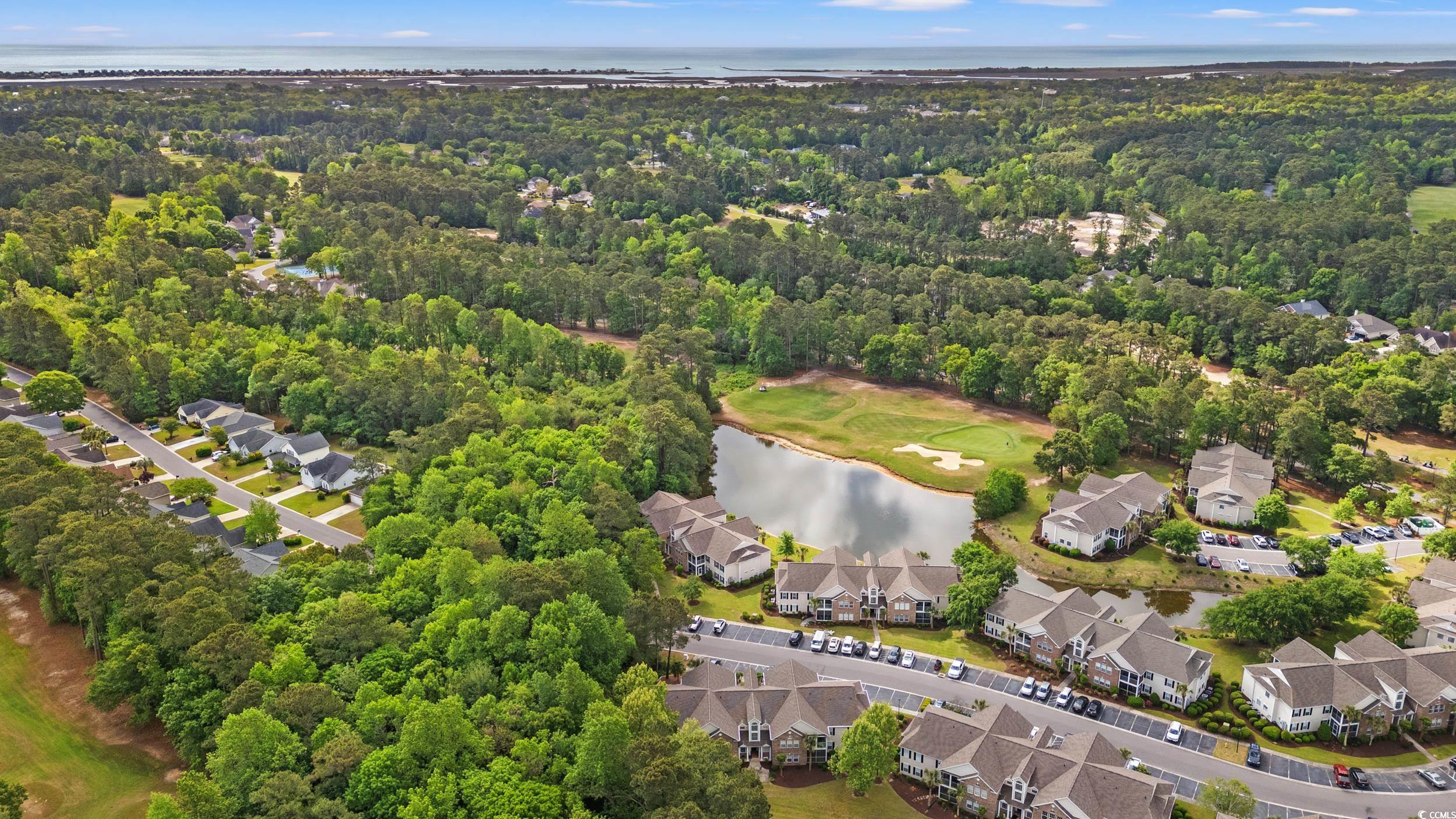 4648 Fringetree Dr. #C, Murrells Inlet, South Carolina image 35