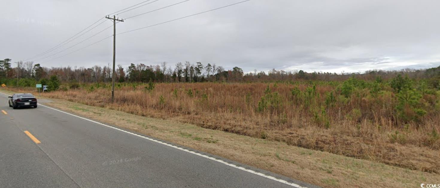 TBD100 Highway 701 North, Loris, South Carolina image 7