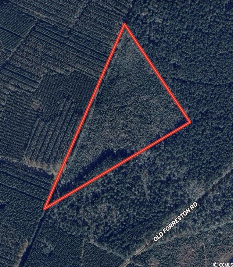 24.71 Acres-TBD Old Forreston Rd., Greeleyville, South Carolina image 5