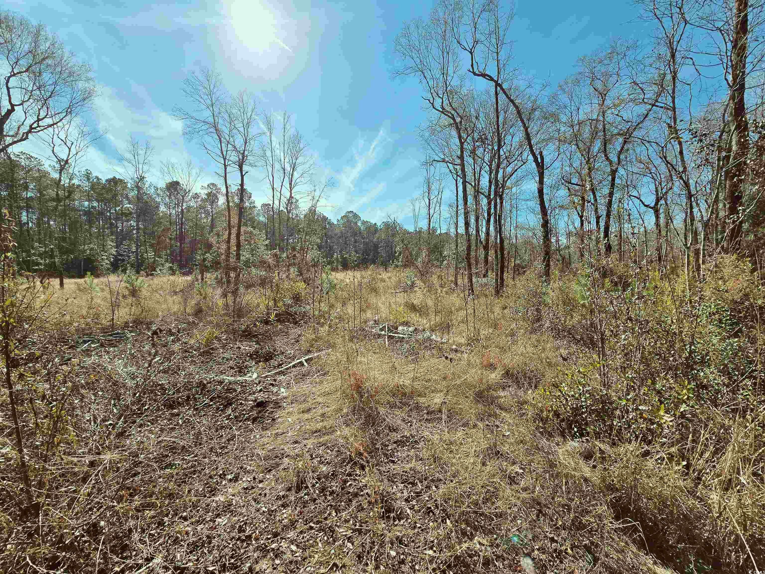 TBD 3 Pauley Swamp Rd. Conway, SC 29527