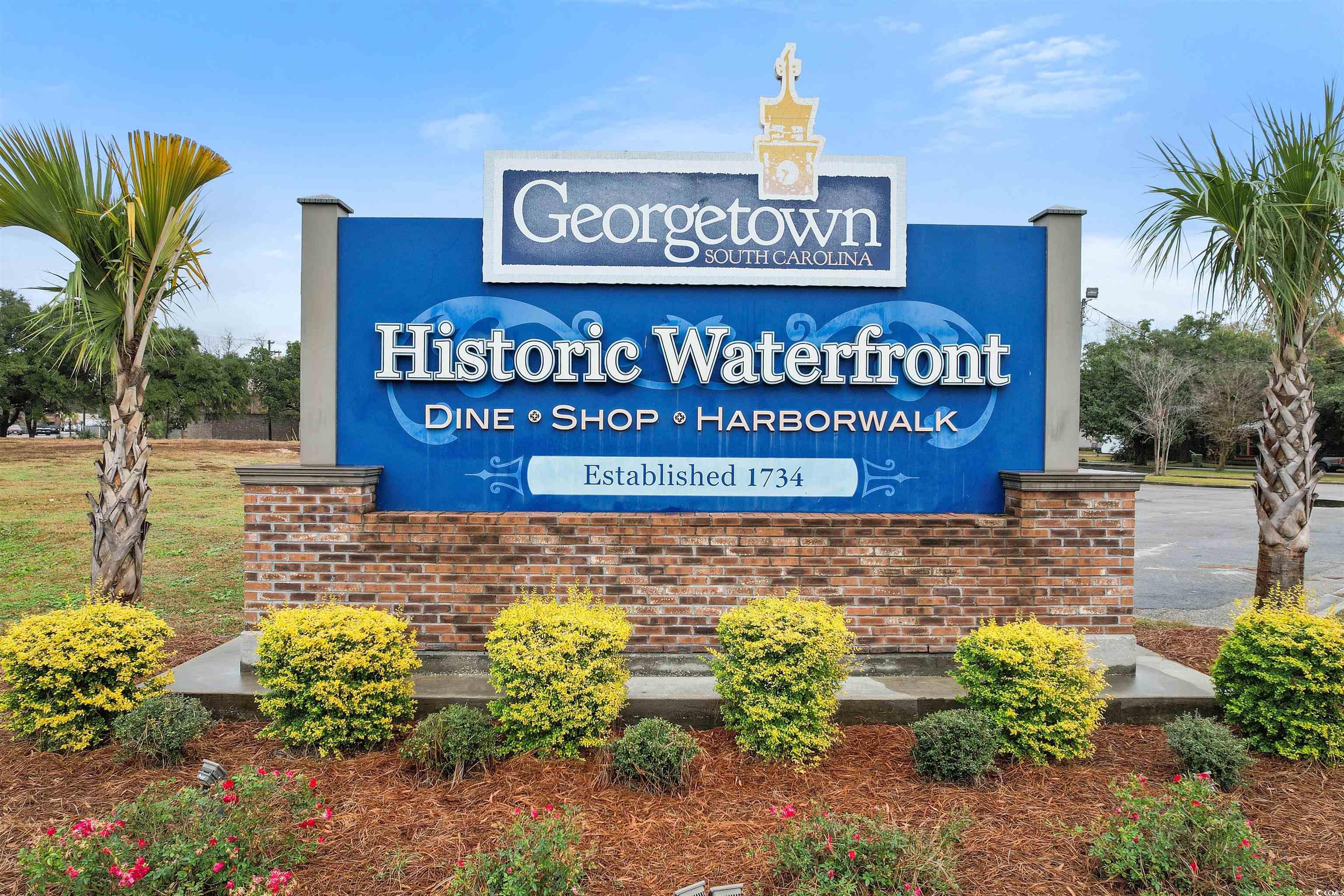 Lot 104 Two Rivers Rd., Georgetown, South Carolina image 16